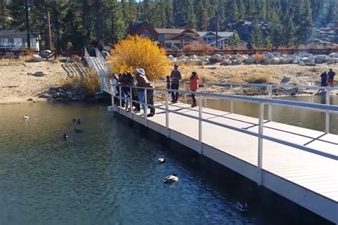 Best Big Bear Lake Swimming Best Spots Water Condition And More