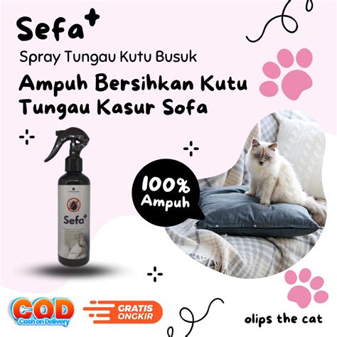 Jual Spray Pembasmi Kutu Busuk Tungau Kasur Sefa Plus Obat Kutu