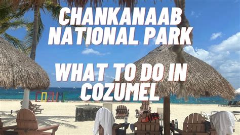 Chankanaab National Park Cozumel What To Do In Port At Cozumel