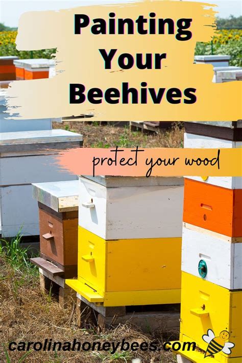 How To Paint A Beehive Tips And Best Practices Carolina Honeybees Bee