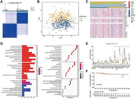 Determination Of M6A Modification Mode A According To The Expression