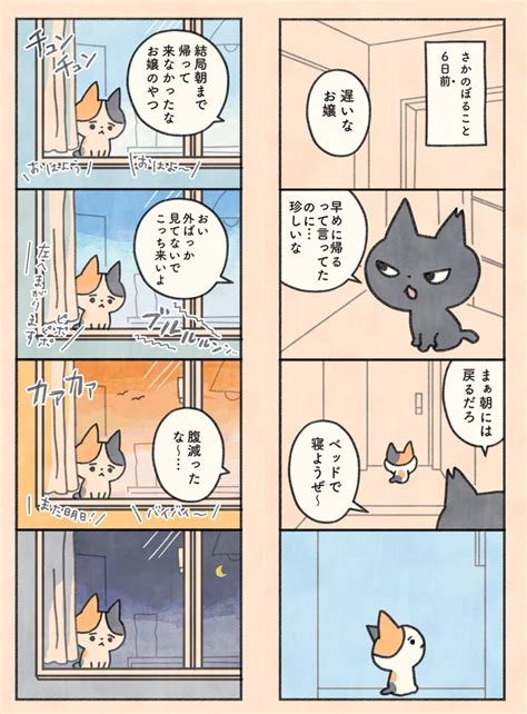 「もしもなんて来ないと思ってた猫112 」オキエイコデザフェスe404の漫画