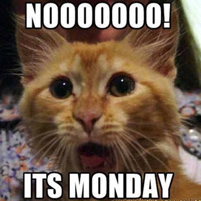 Nooooooo Its Monday Pictures Photos And Images For Facebook Tumblr