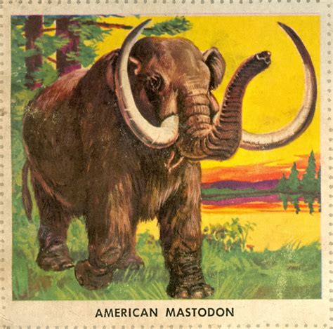 Mastodon Skull