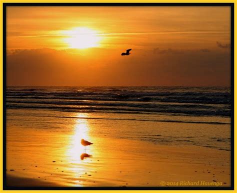 Walk With Father Nature Tides Nature Beach Sunset Tide