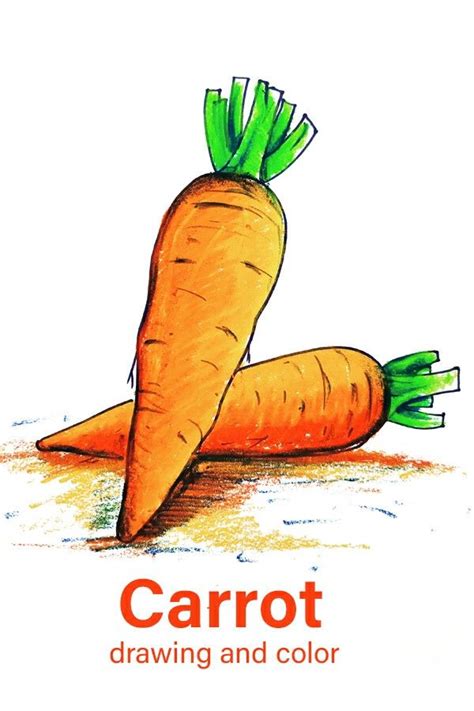 Carrot drawing and color || How to draw carrot step bye step | Carrot ...