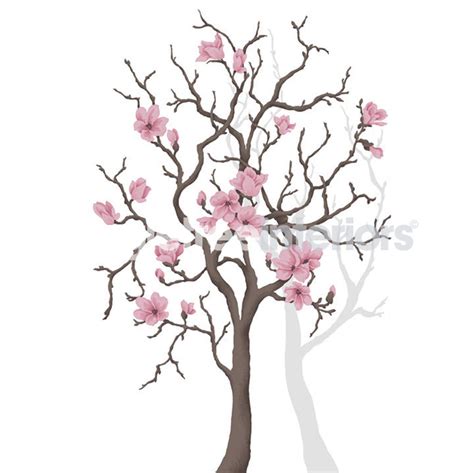 Flowering Tree Drawing At Getdrawings Free Download