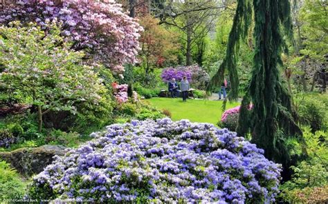 The Best Victoria Parks & Gardens: A Guide to the City’s Green Spaces - Victoria Tourism Guide