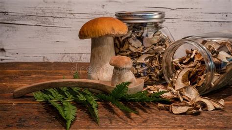 Food Photography Background Forest Mushrooms Boletus Edulis King