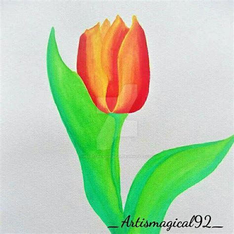 watercolor tulip by Pfoetchen-Magical on DeviantArt