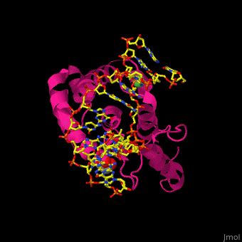 Methyl CpG Binding Protein Proteopedia Life In 3D