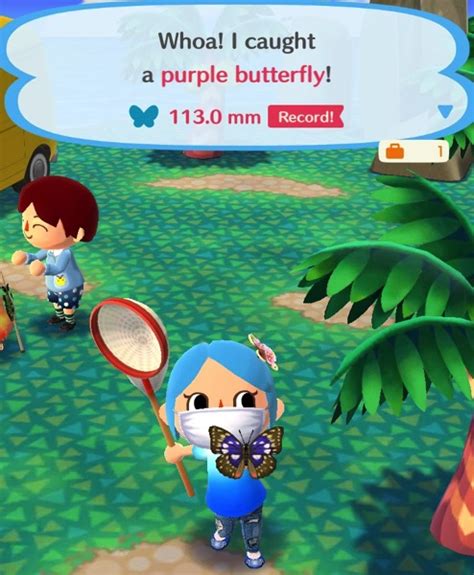 Animal Crossing Pocket Camp Butterflies Book Of Jen