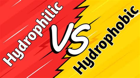 Hydrophilic Vs Hydrophobic Substances Polar And Non Polar Molecules