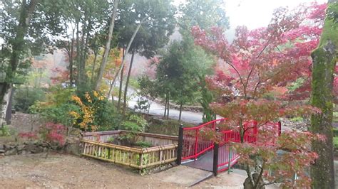 大本山永平寺直末光明寺 紅葉 兵庫県 Youtube