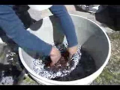 Worm Bin Adding Bedding Worms And Food Scraps Youtube