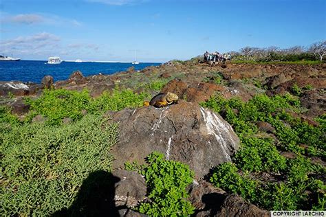 Best tours to Galapagos Islands - GalapagosInformation.com Blog