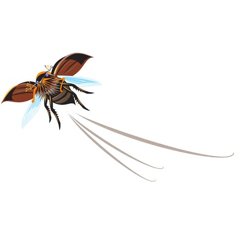 Free Beetle Flying Clipart Image | Download High-Quality Beetle Flying