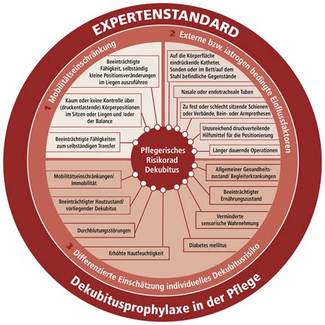 Dekubitusprophylaxe In Der Pflege Fortbildungvorort