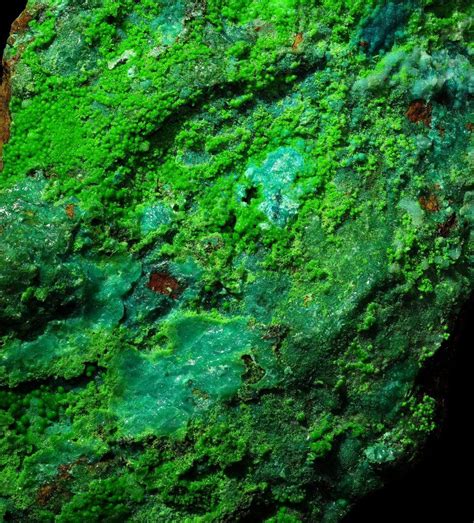 botryoidal conichalcite leo jahaan art