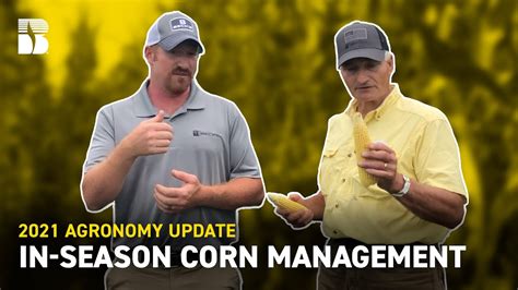 In Season Corn Management Beck S Agronomy Updates Youtube