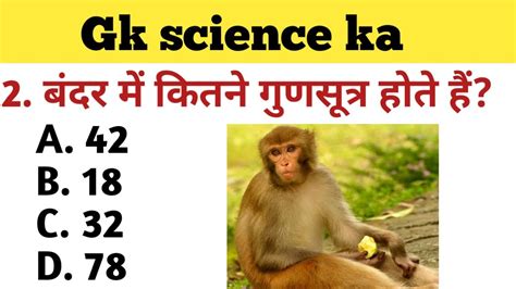 10 Common General Knowledge Questions And Answer In Hindi Top Gk