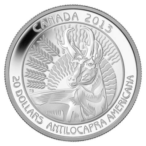 2013 Canada Fine Silver 20 Dollar Coin Pronghorn