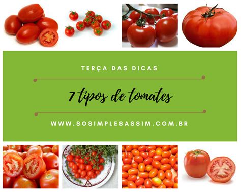 Os Tipos De Tomates Mais Comuns E Seus Usos Ter A Das Dicas