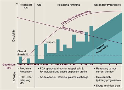 Multiple Sclerosis Mechanisms And Immunotherapy Neuron