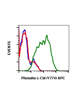 Phospho C Cbl Y Recombinant Mab Abwiz Bio