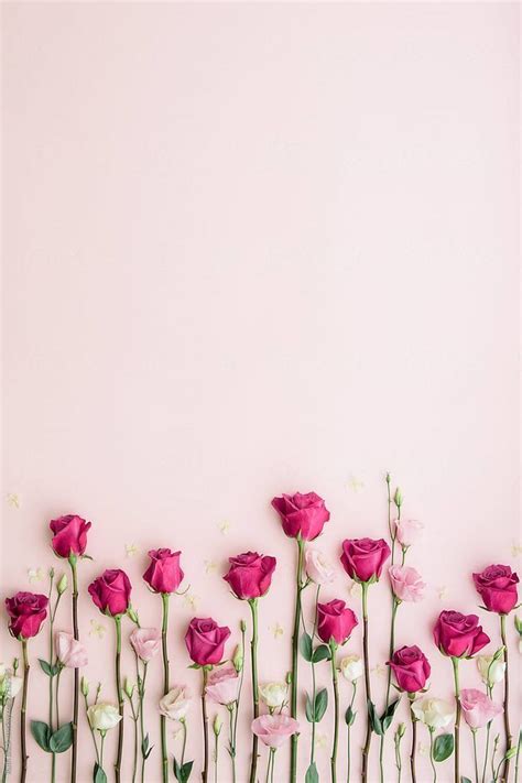 Pin By Allawi On For Designs Flower Background Wallpaper