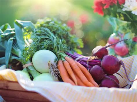 Guia alimentar e de nutrição para celíacos elaborado na UFSC tem acesso