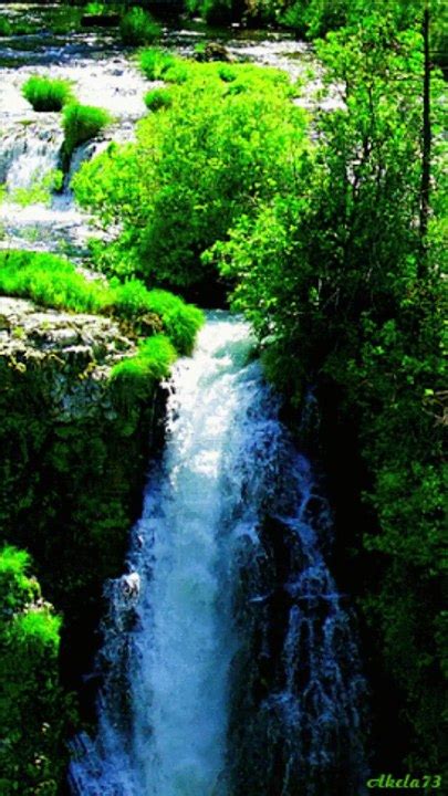 Nature Sounds Relaxation Waterfall And Birds Video Dailymotion