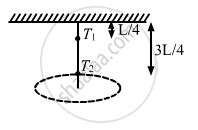 A Rod Of Length L Is Pivoted At One End And Is Rotated With A Uniform