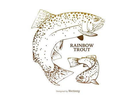 Free Rainbow Trout Vector Illustration 130392 Vector Art at Vecteezy