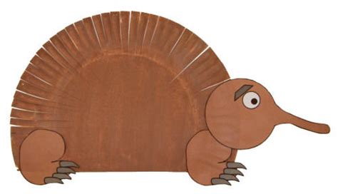 Paper Plate Echidna Craft