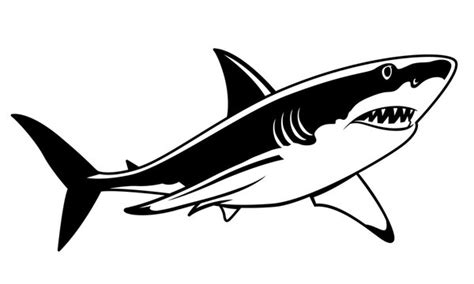 Shark Clipart Bilder Durchsuchen Archivfotos Clip Art