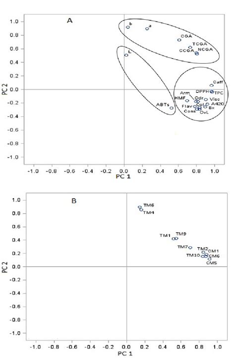 Loadings And Scores Plots Of Principal Components Analysis A Download Scientific Diagram