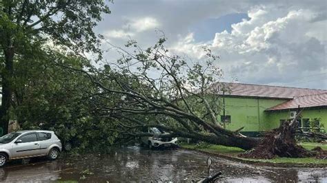 Tempestade De Minutos Derruba Rvores E Danifica Ve Culos Interior