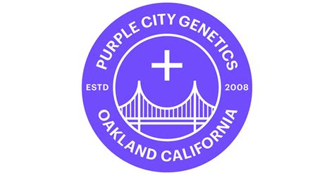 Mission Valley Purple City Genetics Rainbow Belts Clone San