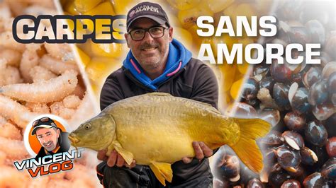 Entra Nement Au Feeder P Che De Carpes Sans Amorce Asticots Et