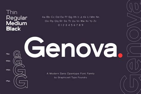 Genova Family Sans Serif Font - Design Cuts