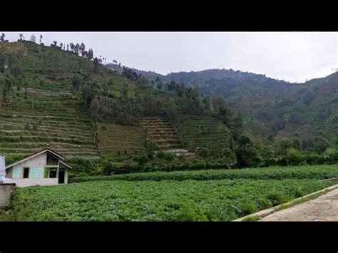 SUASANA PEDESAAN I RUMAH DI KAKI GUNUNG PRAU I TEMPAT SEJUK PENGHASIL