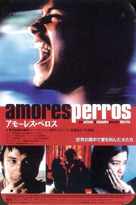 Amores Perros 2000 Alejandro González Iñarritu Gael García Bernal