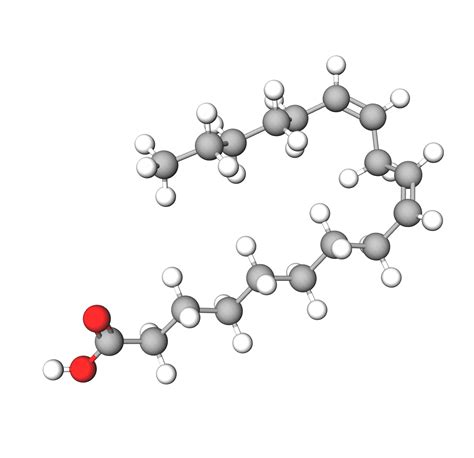 Linoleic acid | Vitamin F Component | INCIGuide