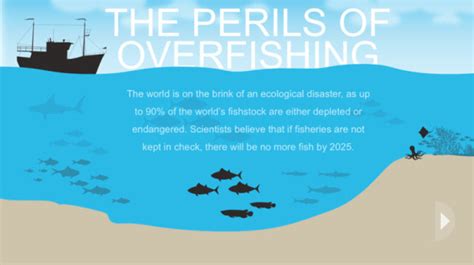 Overfishing infographic | Harmful methods of fishing | KarBel