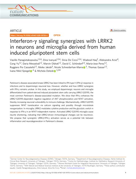 Pdf Interferon γ Signaling Synergizes With Lrrk2 In Neurons And