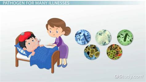 What is Streptococcus Pyogenes? - Causes, Symptoms & Treatment - Lesson ...