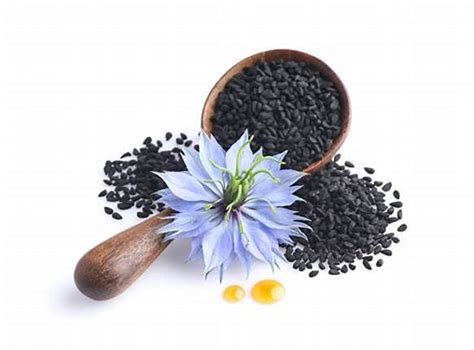 Black Seed Nigella Sativa Health Benefits How To Use As A Herb