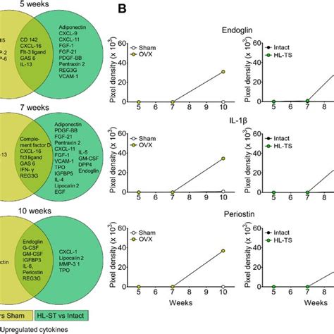 Comparison Of Cytokines Content In Circulating Evs A Venn Diagrams