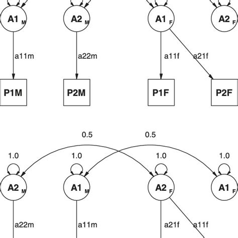 Path Diagrams For Hypothetical Results Of Model Fitting Of Two Download Scientific Diagram